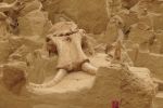 PICTURES/The Mammoth Site/t_Mammoth Head4.JPG